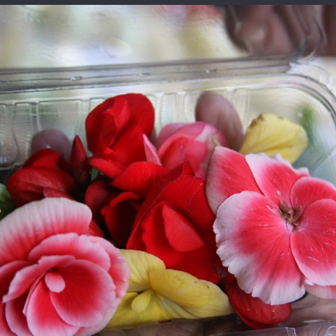 Flores Comestível